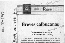 Breves Calbucanas  [artículo].