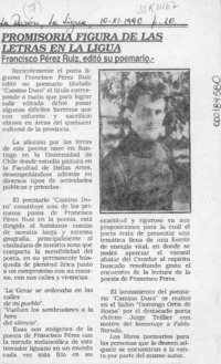 Promisoria figura de las letras en La Ligua  [artículo].