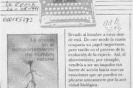 Escritorio  [artículo] Carlos Olivárez.