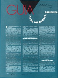 Guía para peladores, arribistas y observadores desinteresados  [artículo].