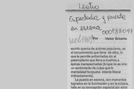 Espectador y puesta en escena  [artículo].