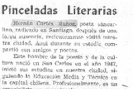 Pinceladas literarias