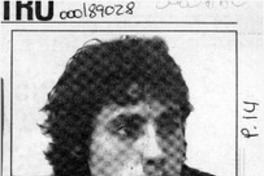 "Luna de miel" frívola en apariencia  [artículo].