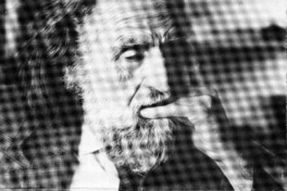 A propósito de cruces y banderas  [artículo] Radomiro Spotorno.