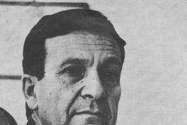 Un visión particular de la historia  [artículo] Stellamaris Porzio B.