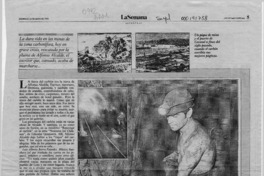 Carbón de Alcalde  [artículo] J. G. H.