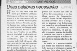 Unas palabras necesarias  [artículo] Pacián Martínez Elissetche.
