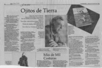 Ojitos de tierra  [artículo] Eliana Pattillo.