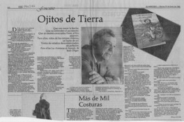 Ojitos de tierra  [artículo] Eliana Pattillo.