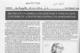 Bío-Bío es un símbolo de este país y todo lo que contribuye a destruirlo sería una barbaridad  [artículo].