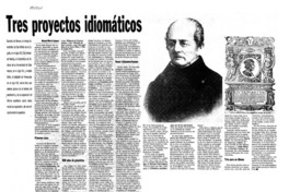 Tres proyectos idiomáticos  [artículo] Manuel Marín Campos.