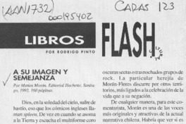 A su imagen y semejanza  [artículo] Rodrigo Pinto.