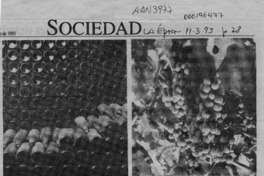 Vinos y viñas chilenos de la mano de la historia de nuestra tierra  [artículo] Pedro Schwarze.