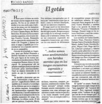El gotán  [artículo] Martín Ruiz.