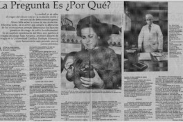 La pregunta es ¿por qué? (entrevista)