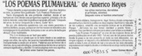 "Los poemas plumaveral" de Américo Reyes  [artículo] Isabel Gómez Muñoz.