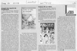 Como un salto de campana  [artículo] Rodrigo Pinto.