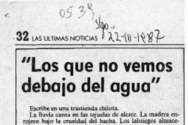 "Los que no vemos debajo del agua"  [artículo] Enrique Ramírez Capello.