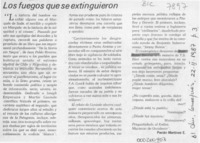 Los fuegos que se extinguieron  [artículo] Pacián Martínez E.