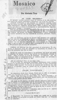 Mosaico  [artículo] Abelardo Troy.