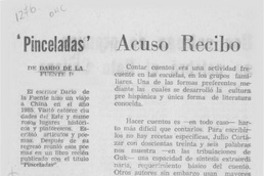 "Pinceladas" de Darío de la Fuente D.