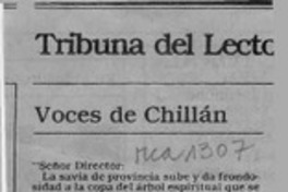 Voces de Chillán