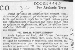 "El rosal sorprendido"  [artículo] Abelardo Troy.