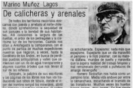 De calicheras y arenales