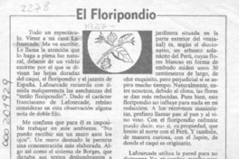 El floripondio