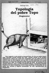 Topología del pobre Topo  [artículo]