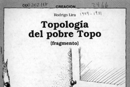 Topología del pobre Topo  [artículo]