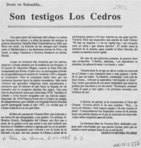 Son testigos los cedros  [artículo] Gustavo Rivera Flores.