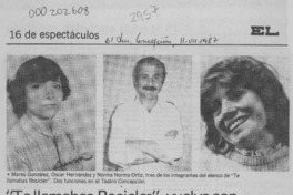 "Te llamabas Rosicler", vuelve con dos funciones al Teatro Concepción  [artículo].