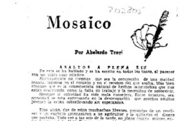 Mosaico  [artículo] Abelardo Troy.