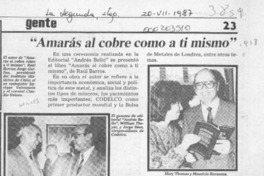 "Amarás al cobre como a ti mismo"  [artículo].