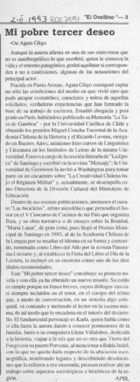 Mi pobre tercer deseo