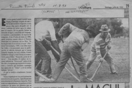 La machi invoca la palabra  [artículo] Virginia Vidal.