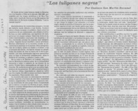 Los "Tulipanes negros"