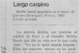 Largo camino