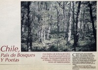Chile, país de bosques y poetas