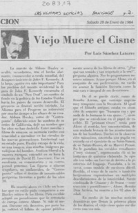 Viejo muere el cisne
