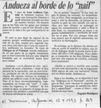 Andueza al borde lo "naif"  [artículo] Eugenio Rodríguez.