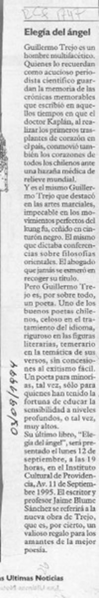 Elegía del ángel  [artículo].