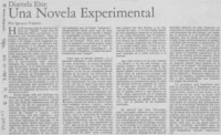 Una novela experimental