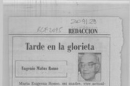 Tarde en la glorieta