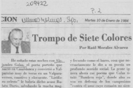 Trompo de siete colores