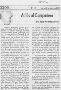 Adiós al compañero