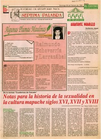 Algunas plumas maulinas