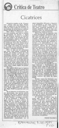 Cicatrices  [artículo] Carola Oyarzún L.