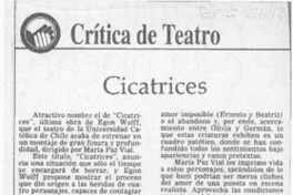 Cicatrices  [artículo] Carola Oyarzún L.